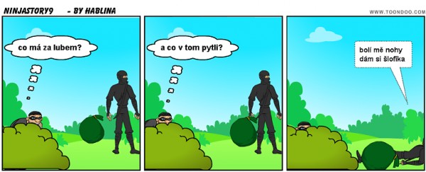 ninjastory