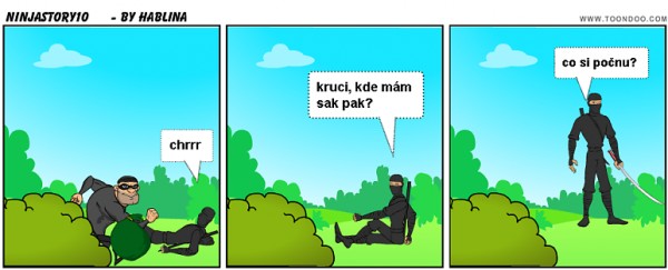 ninjastory