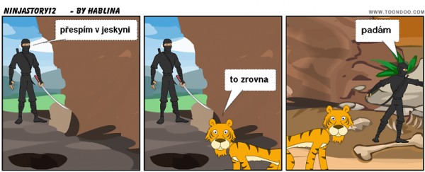 ninjastory