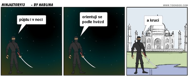 ninjastory