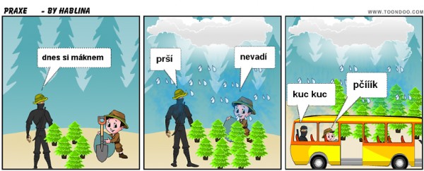 praxe