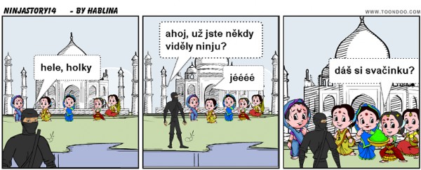 ninjastory