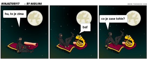 ninjastory