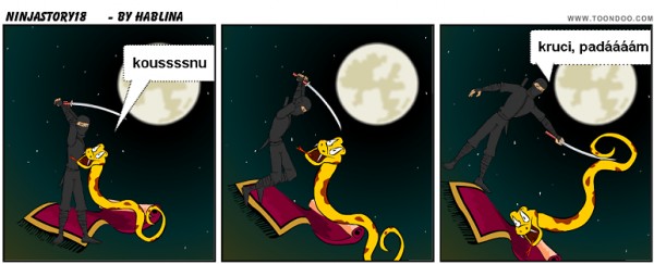 ninjastory