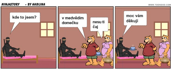 ninjastory