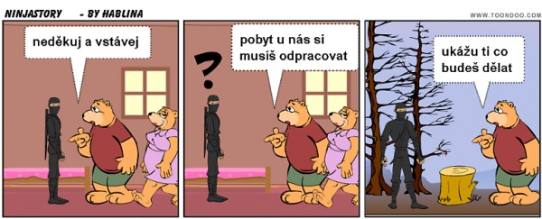 ninjastory