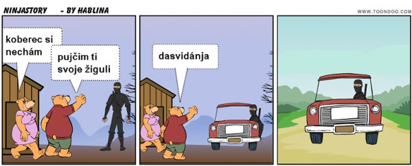 ninjastory