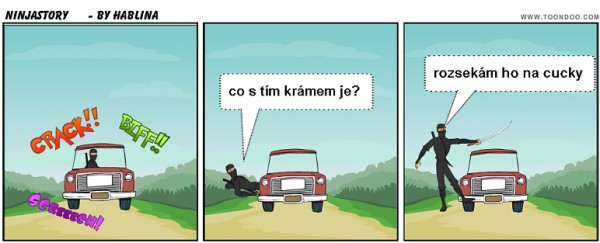 ninjastory