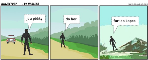 ninjastory