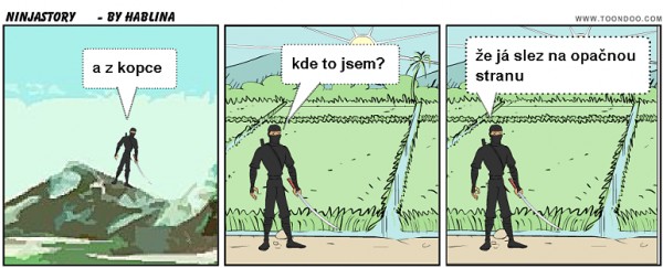 ninjastory
