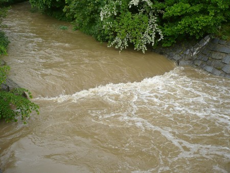 splav