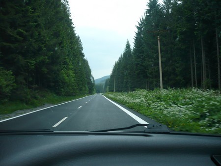 cesta