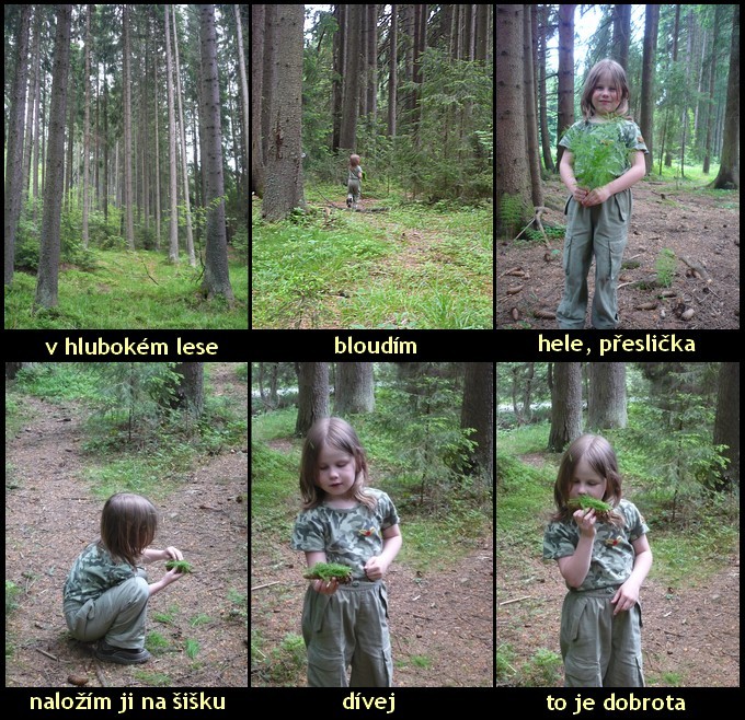 hladov