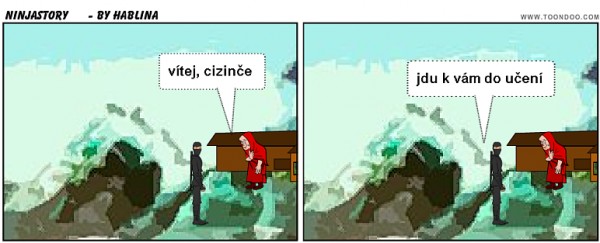 ninjastory
