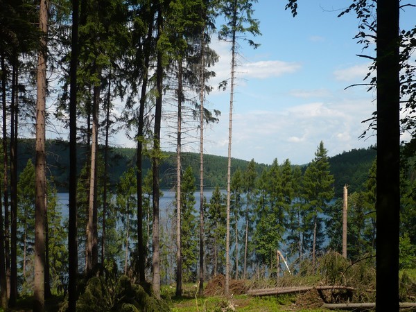 kruberk