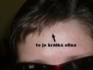ofina