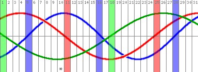 biorytmus