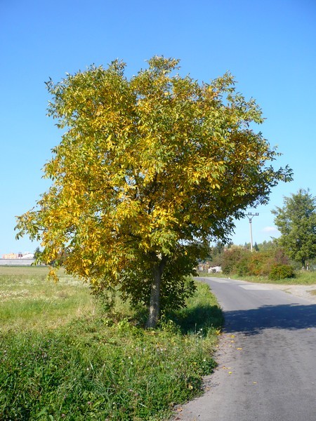 podzim