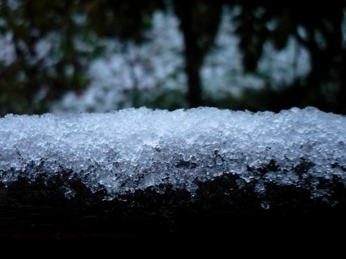 brlen