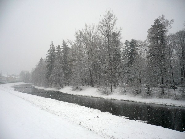 ronov