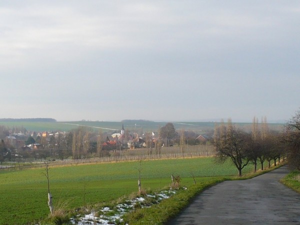 vesnika